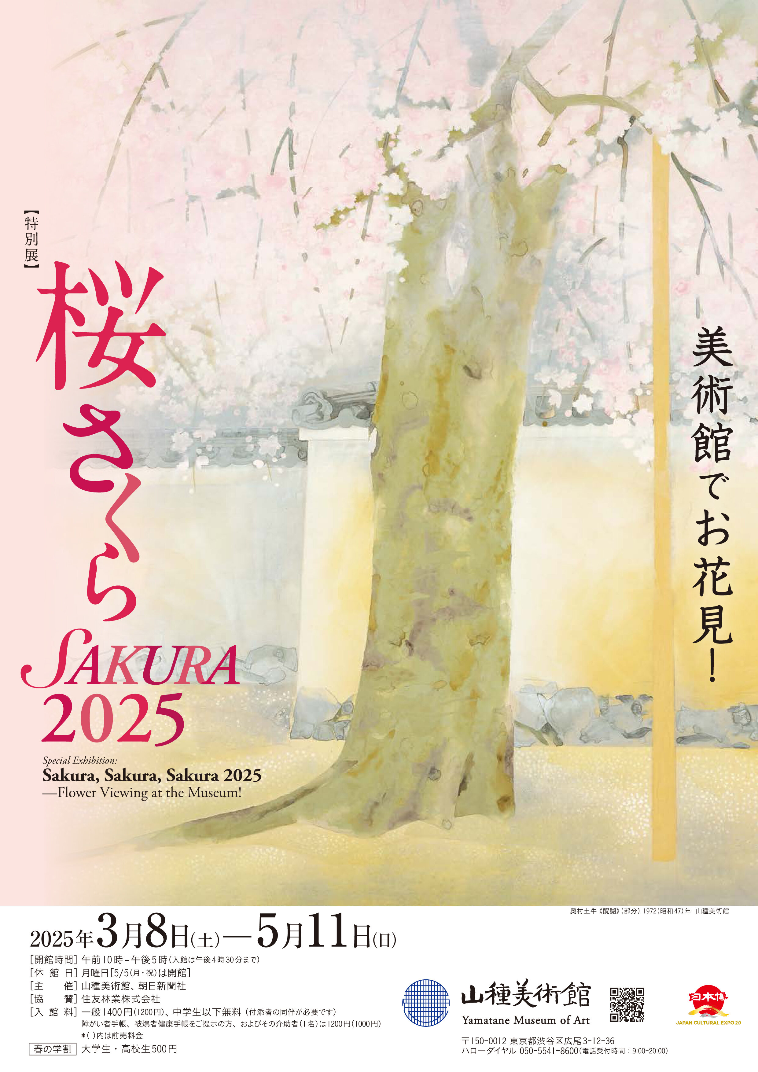 桜 さくら SAKURA 2025