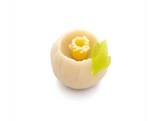 wagashi250308-02.png